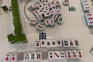 學(xué)習(xí)國粹！瓦妮莎打起了麻將 這麻將還是外國特供版