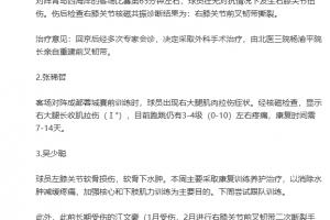 重傷！國安官方：斯帕吉奇右膝前叉韌帶撕裂，將接受前叉韌帶重建