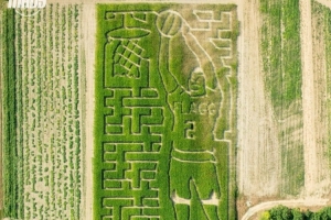 整活新高度??！獨(dú)行俠曬照 新科狀元弗拉格被“種”進(jìn)了玉米地